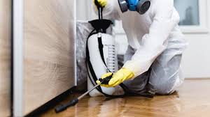 Best Fumigation Services  in Wagner, SD